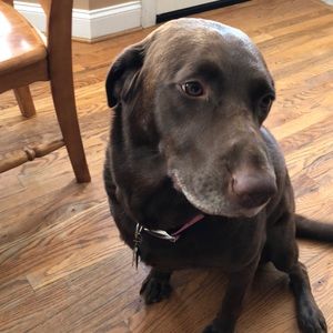 Meet your Posher, Jenn